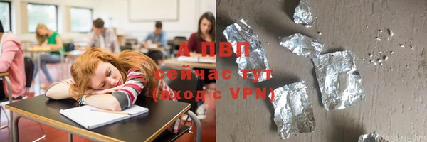 хмурый Аркадак