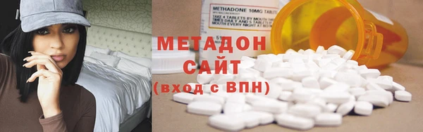 хмурый Аркадак