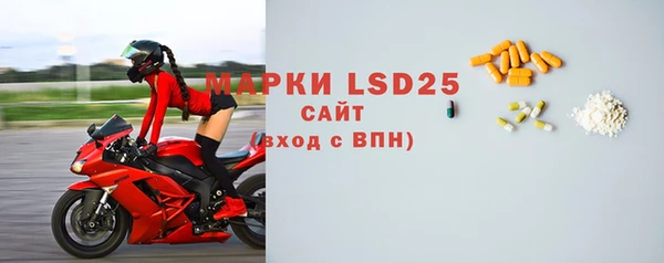 хмурый Аркадак