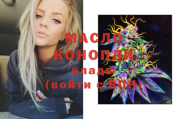 хмурый Аркадак