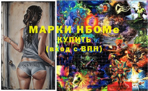 хмурый Аркадак