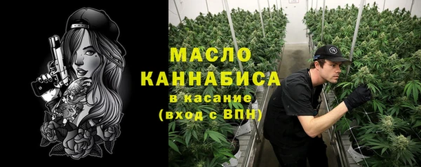 хмурый Аркадак