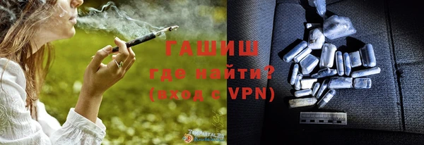 хмурый Аркадак