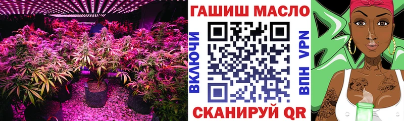 закладки  Талица  ТГК THC oil 